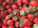 strawberries-for-sale-1-1326887.png